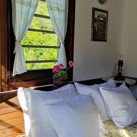 Kalinia Bed and breakfast 3*