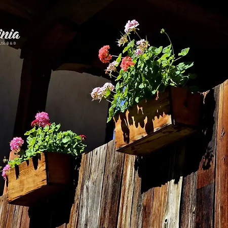 Bed and breakfast Kalinia Kovačevica