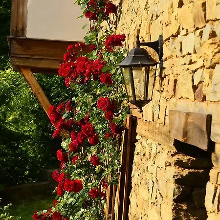 Bed and breakfast Kalinia Kovačevica