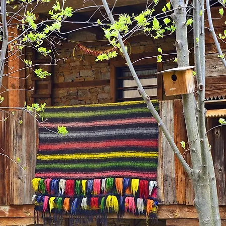 Kalinia 3* Kovačevica