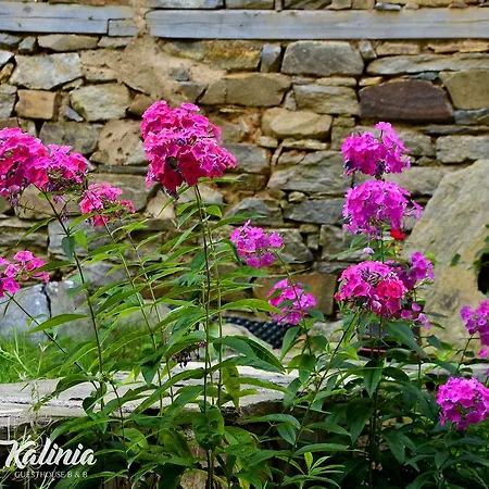 Kalinia Bed and breakfast