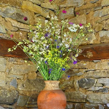 Kalinia 3* Kovačevica