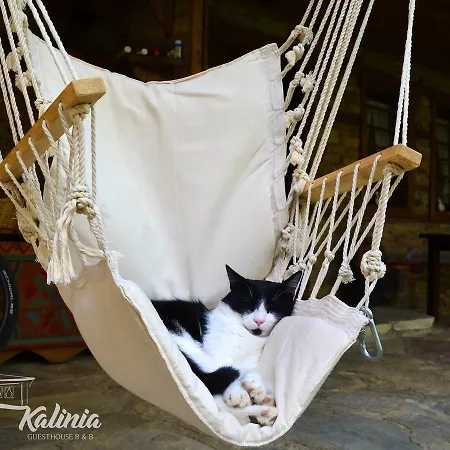 B&B Kalinia Kovačevica