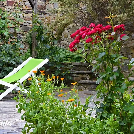 Bed & Breakfast Kalinia 3*