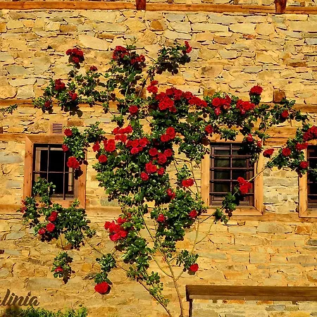 Kalinia 3* Kovačevica