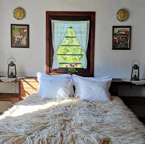 Kalinia 3* Kovačevica