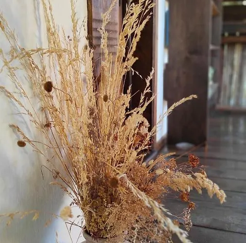 Couette-café Kalinia