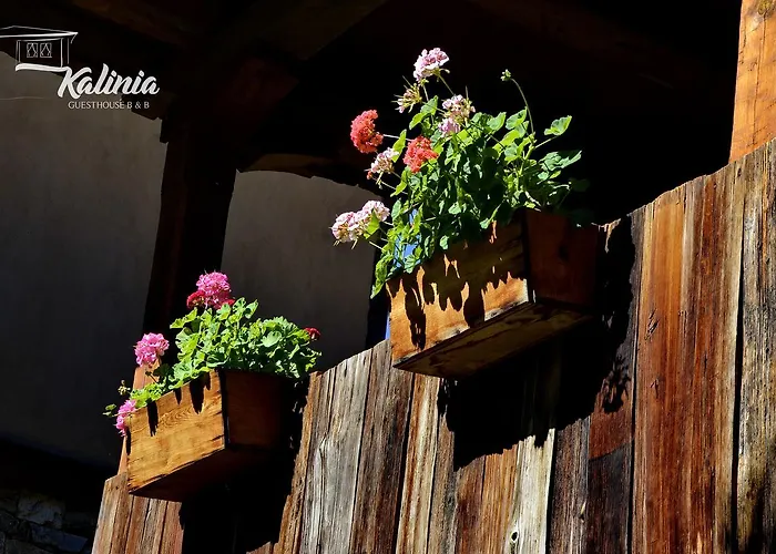 Couette-café Kalinia Kovačevica