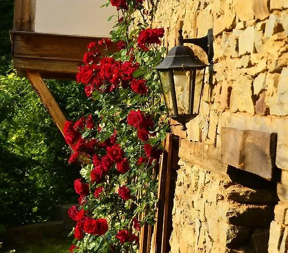 Couette-café Kalinia Kovačevica