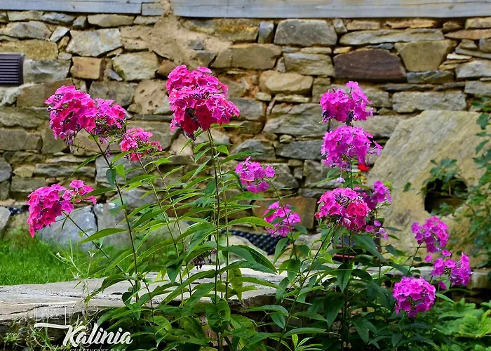 Kalinia Couette-café