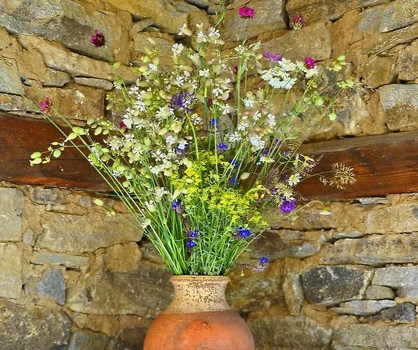 Kalinia 3* Kovačevica