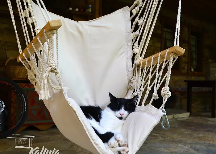 Couette-café Kalinia Kovačevica