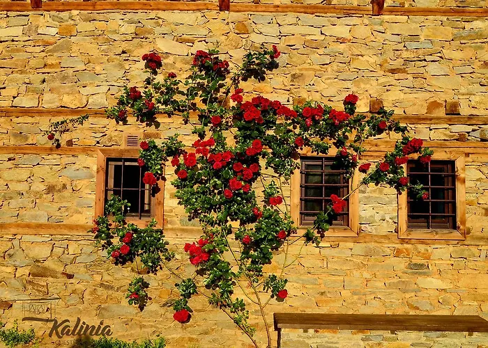 Kalinia 3* Kovačevica