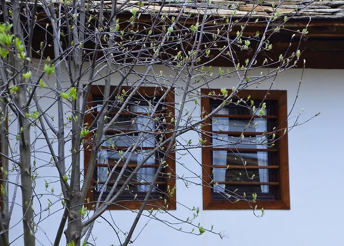 Kalinia Couette-café 3*