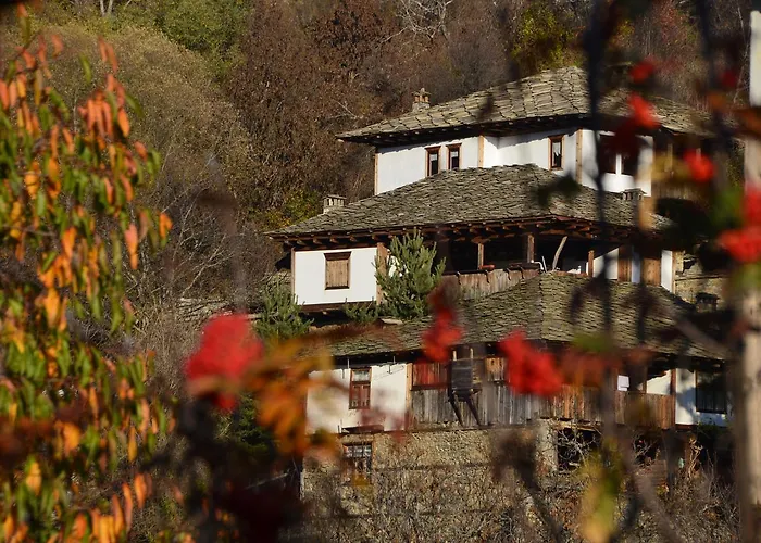 Kalinia Couette-café