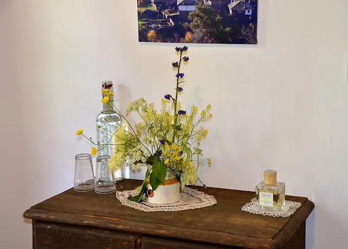 Couette-café Kalinia Kovačevica