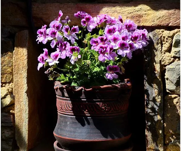 Couette-café Kalinia