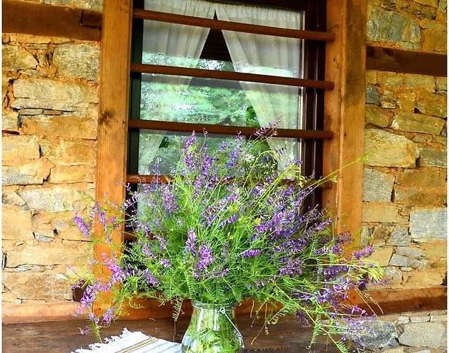 Kalinia 3* Kovačevica